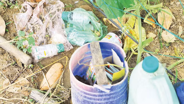 Các loại vỏ thuốc bảo vệ thực vật vứt tại vườn. Ảnh: Nam Anh