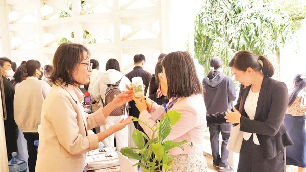 Hợp tác chính là chìa khóa để bảo vệ và thúc đẩy ngành cà- phê Việt Nam phát triển bền vững. Ảnh: Aus4Innovation