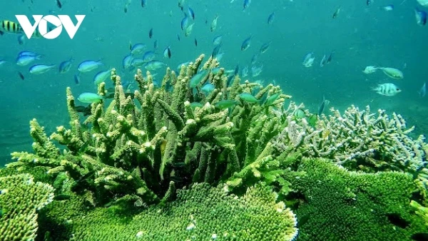 Công tác bảo tồn hệ sinh thái rừng - biển ở Vườn quốc gia Côn Đảo nhiều năm qua luôn được thống kê minh bạch (ảnh: Vườn QGCĐ)