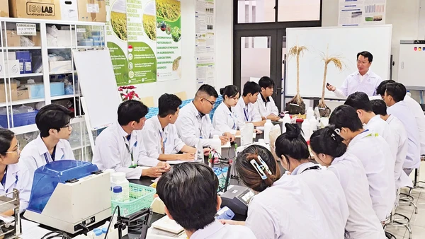 PGS, TS Nguyễn Khởi Nghĩa hướng dẫn sinh viên tham gia nghiên cứu dự án.