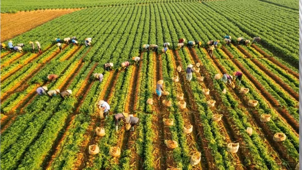 Tác phẩm “Nghề truyền thống” của tác giả Nguyễn Hải Đăng đoạt giải Ba.