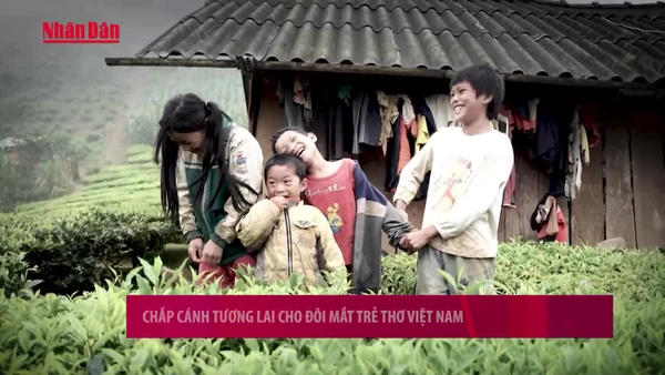 [Video] Chắp cánh tương lai cho đôi mắt trẻ thơ Việt Nam