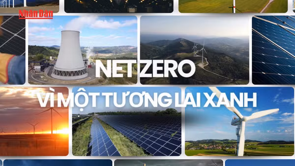 [Video] Chọn Net Zero – Chọn sống khỏe, sống xanh