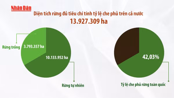 [Video] Giữ “lá phổi xanh” - giữ lấy tương lai