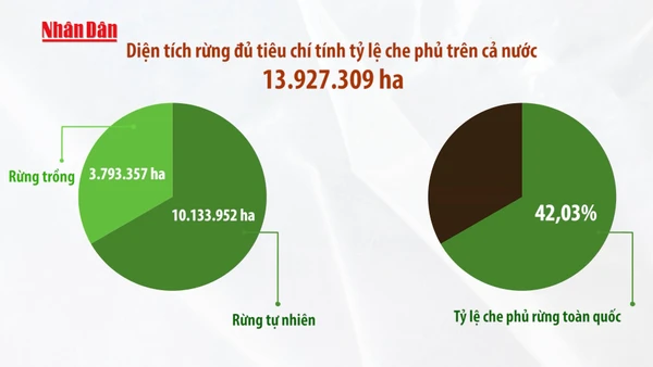 [Video] Giữ “lá phổi xanh” - giữ lấy tương lai