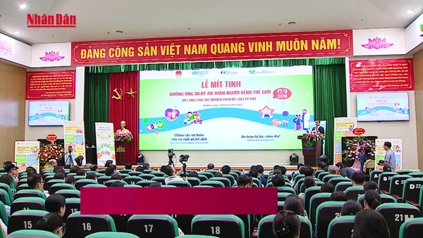 [Video] An toàn người bệnh: Mệnh lệnh từ trái tim người thầy thuốc