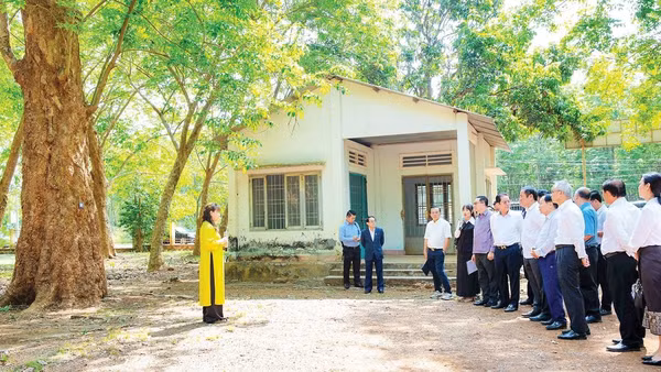 Bảo tồn, khai thác du lịch vườn cao-su cổ thụ