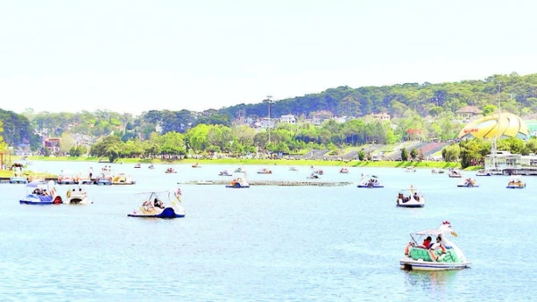 Trên hồ Xuân Hương, khu vực Lâm Đồng ngàn hoa dịp cuối tuần.