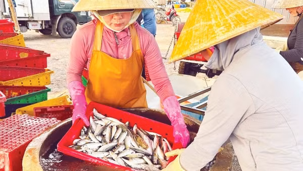 Thủy sản đóng góp tỷ trọng lớn trong cơ cấu tăng trưởng ngành nông nghiệp.