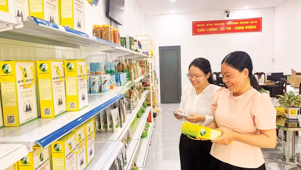Khách hàng chọn mua sản phẩm OCOP Cần Thơ tại cửa hàng do Trung tâm Khuyến nông và Dịch vụ nông nghiệp thành phố quản lý.