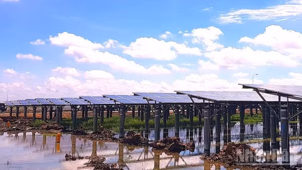 Tây Ninh bảo đảm nguồn cung năng lượng - một trong những điều kiện tiên quyết để duy trì tăng trưởng, nâng cao năng lực cạnh tranh và thu hút các dòng vốn đầu tư mới.