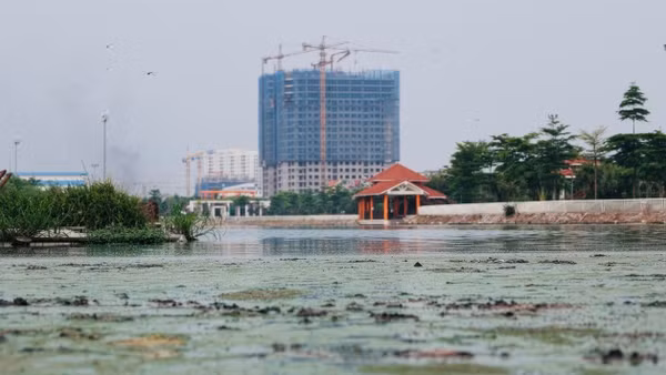 [Video] Hồ điều hòa Công viên Ngọc Thụy ô nhiễm, bốc mùi hôi