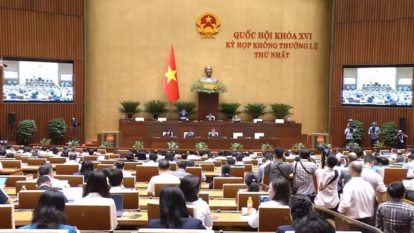 [VIDEO] Rà soát ngành, nghề đầu tư kinh doanh có điều kiện theo tiêu chí thống nhất 