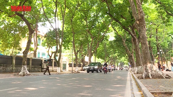 [Video] Mở rộng diện khấu trừ lương để cưỡng chế thi hành xử phạt hành chính từ năm 2026