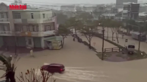 [Video] Hàng nghìn hộ dân tại Gia Lai bị nhấn chìm trong mưa lũ