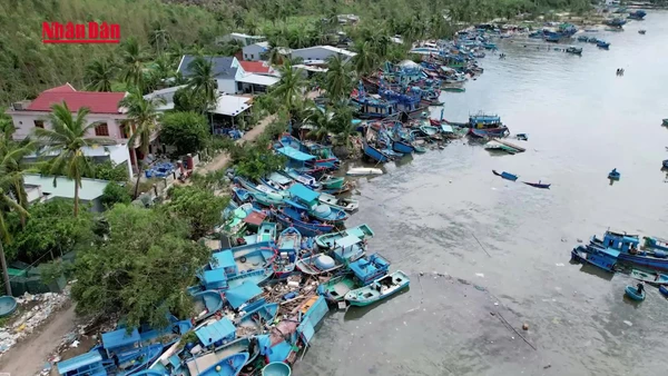 [Video] Bão Kalmaegi gây thiệt hại nặng cho tàu thuyền ven biển miền Trung