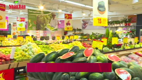 [Video] Cơ hội tăng tốc của các chuỗi bán lẻ nội trong làn sóng hiện đại hóa