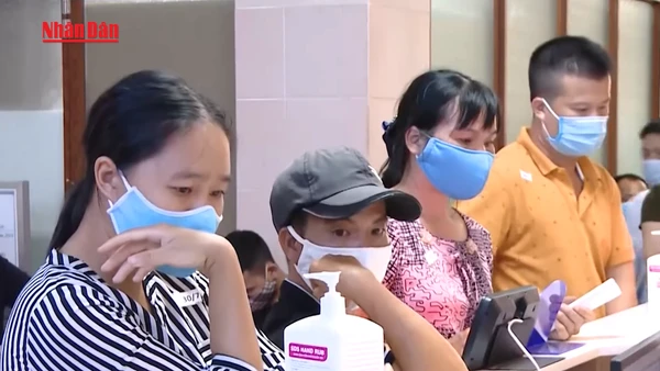 [Video] Hoàn thiện khung pháp lý triển khai khám sức khỏe định kỳ toàn dân