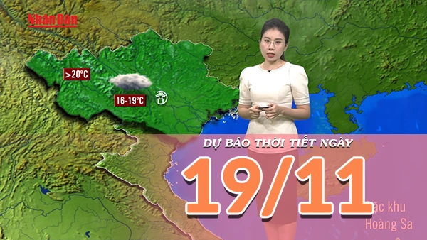 [Video] Dự báo thời tiết ngày 19/11/2025: Bắc Bộ trời rét