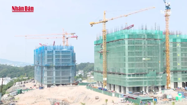 [Video] Nguy cơ dư chung cư cao cấp từ năm 2026