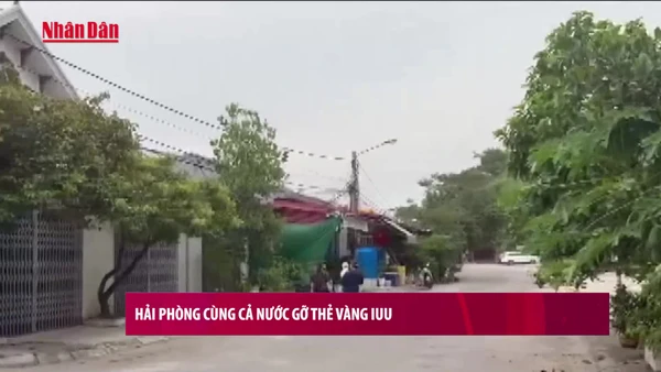 [Video] Hải Phòng cùng cả nước gỡ thẻ vàng IUU