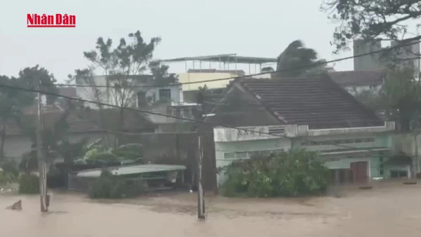 [Video] Người dân Đắk Lắk thiếu nước sạch sau lũ lớn