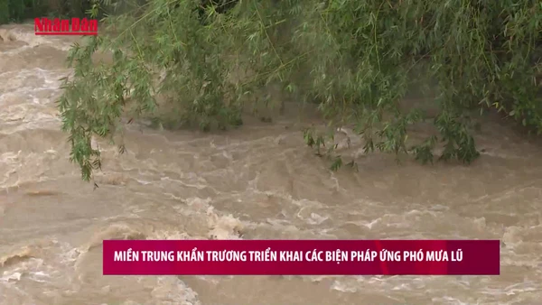 [Video] Miền Trung khẩn trương triển khai các biện pháp ứng phó mưa lũ