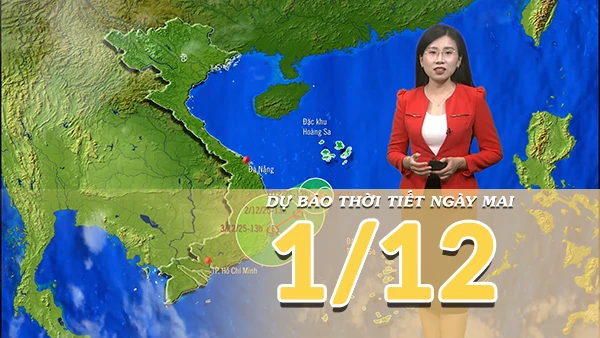 [Video] Dự báo thời tiết đêm nay và ngày mai 1/12/2025: Bão số 15 liên tục suy yếu