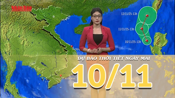 [Video] Dự báo thời tiết đêm nay và ngày mai 10/11/2025: Bắc Bộ tiếp tục có mưa