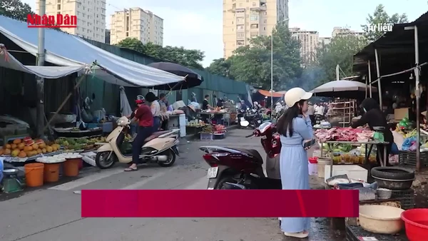 [Video] Giá rau tăng mạnh, bữa cơm nhiều gia đình bị “thu hẹp”