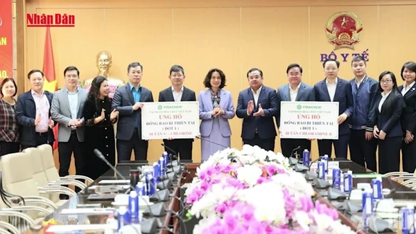 [Video] Không để dịch bệnh bùng phát sau lũ