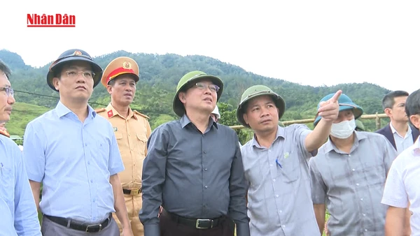 [Video] Phó Thủ tướng Hồ Quốc Dũng kiểm tra khắc phục sạt lở tại xã Ngọc Linh