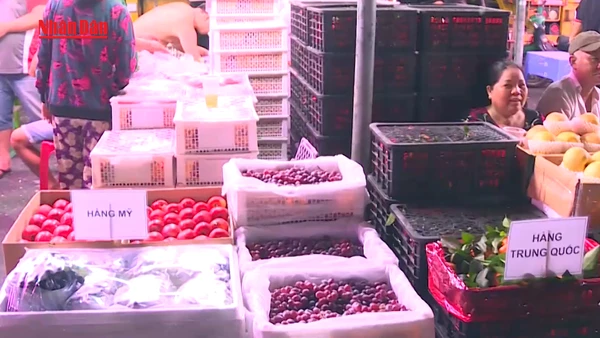 [Video] Tăng cường kiểm tra an toàn thực phẩm phục vụ Tết và lễ hội Xuân 2026 