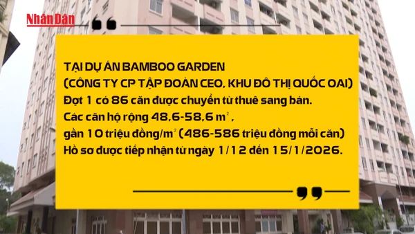 [Video] Hà Nội mở bán hơn 170 căn nhà ở xã hội sau khi đủ thời hạn thuê