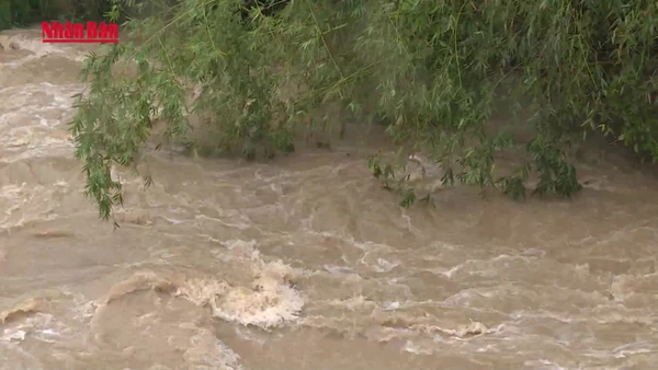 [Video] Trung Bộ đề phòng mưa lớn, lũ quét và sạt lở