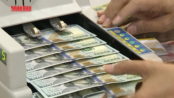 [Video] Đồng USD tiếp tục chịu áp lực giảm giá
