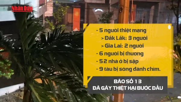[Video] Thiệt hại bước đầu do bão số 13