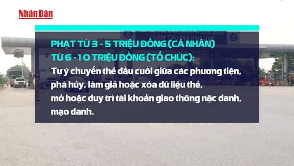 [Video] Gian lận thanh toán giao thông điện tử bị phạt đến 5 triệu đồng