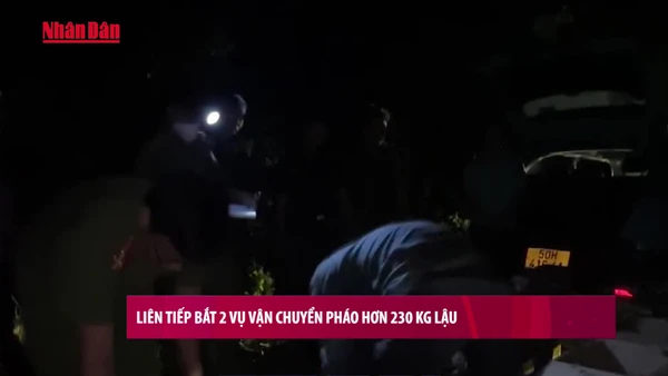 [Video] Liên tiếp bắt 2 vụ vận chuyển pháo trái phép hơn 230 kg 
