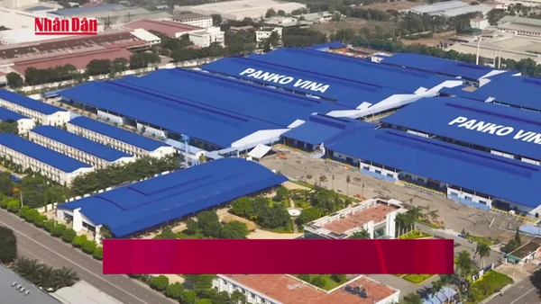 [Video] Hơn 2.600 công nhân Panko Vina lo mất việc khi Tết cận kề