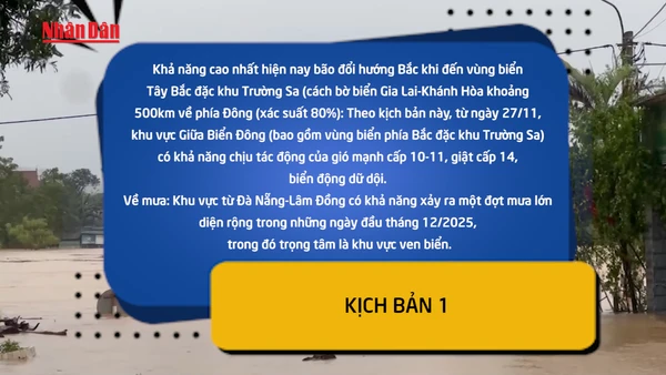 [Video] Hai kịch bản bão số 15