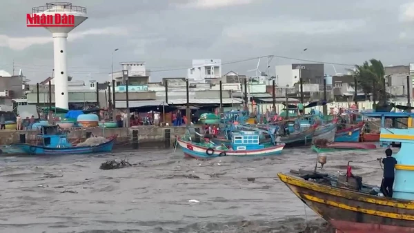 [Video] Lũ lớn trên sông Liên Hương, hàng chục phương tiện của ngư dân bị chìm và trôi ra biển