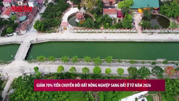 [Video] Giảm 70% tiền chuyển đổi đất nông nghiệp sang đất ở từ năm 2026