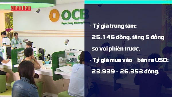 [Video] USD đảo chiều tăng, tỷ giá trung tâm nhích nhẹ