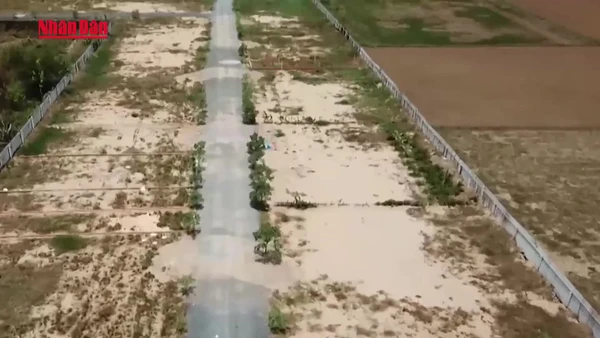 [Video] TP Hồ Chí Minh đề xuất giảm 20–25% giá đất nông nghiệp trong bảng giá mới