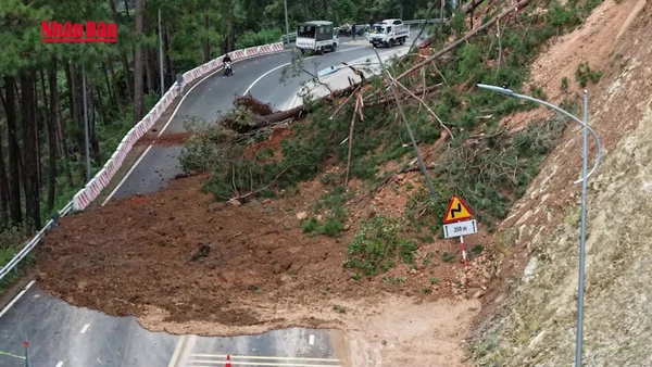 [Video] Mưa lớn gây sạt lở đèo, hàng nghìn nhà dân ngập sâu tại Lâm Đồng và Khánh Hòa