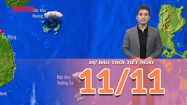 [Video] Dự báo thời tiết ngày 11/11/2025: Trung Bộ hửng nắng