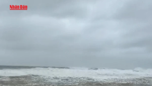 [Video] Triều cường dâng cao gây ngập 500 nhà dân ở Lý Sơn