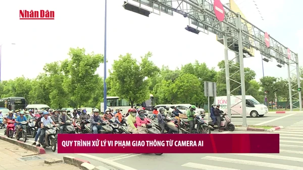[Video] Quy trình xử lý vi phạm giao thông từ camera AI