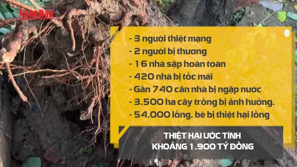 [Video] Đắk Lắk: 3 người thiệt mạng do bão số 13